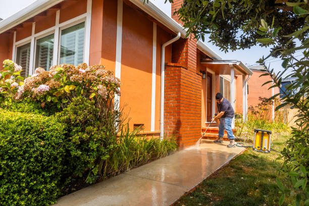Best Affordable Power Washing  in Rolla, ND