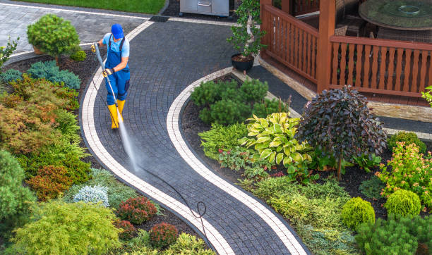 Best Pressure Washing Near Me  in Rolla, ND