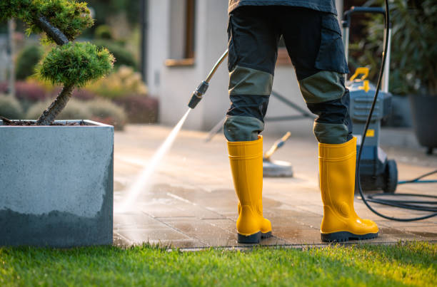 Best Fence Pressure Washing  in Rolla, ND